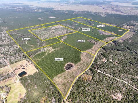 Vacant Land For Sale - County Rd 4415<br/> Spurger, TX 77660