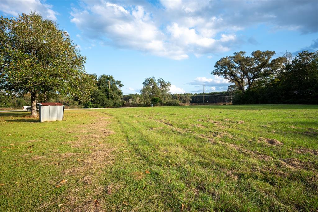 15184 Farm To Market 92, Spurger, Texas image 6