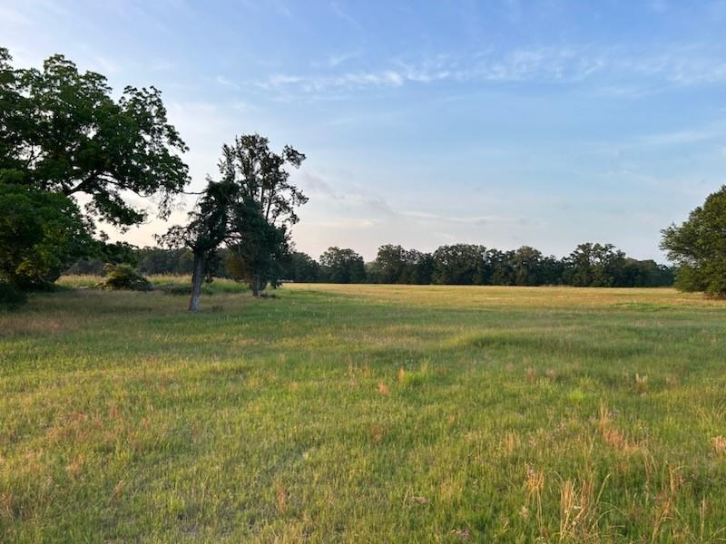 4436 Fm 2346, Madisonville, Texas image 2