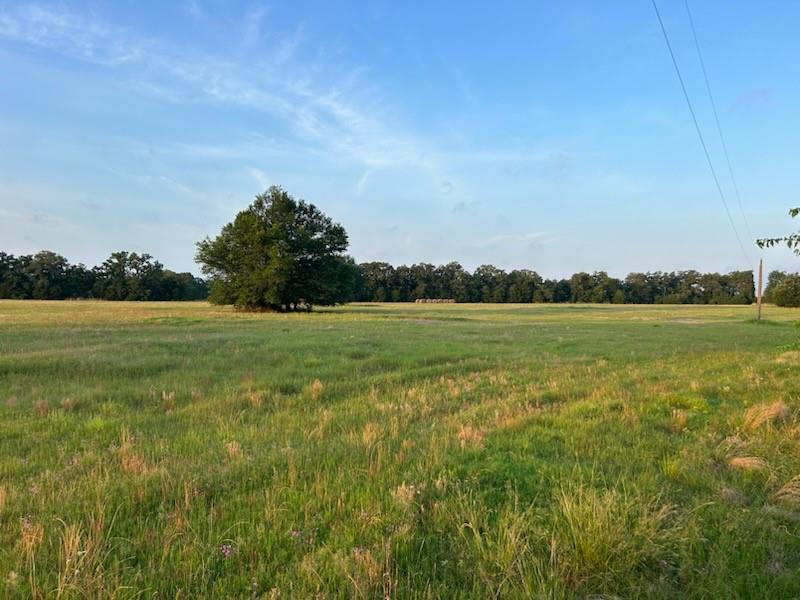 4436 Fm 2346, Madisonville, Texas image 3