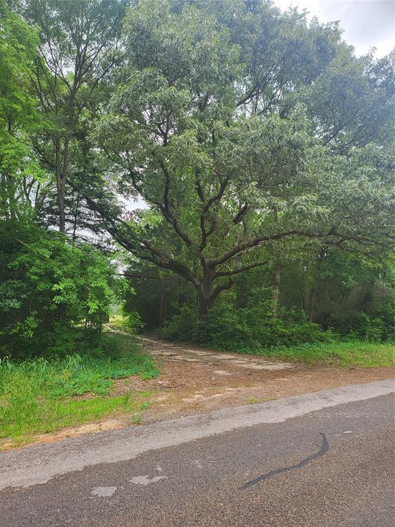 227W & TBD Hayesspring, Grapeland, Texas image 2