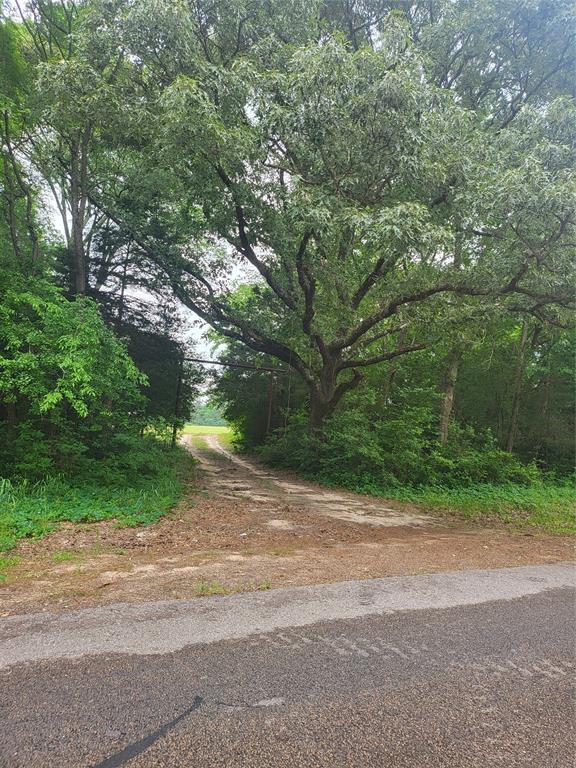 227W & TBD Hayesspring, Grapeland, Texas image 12