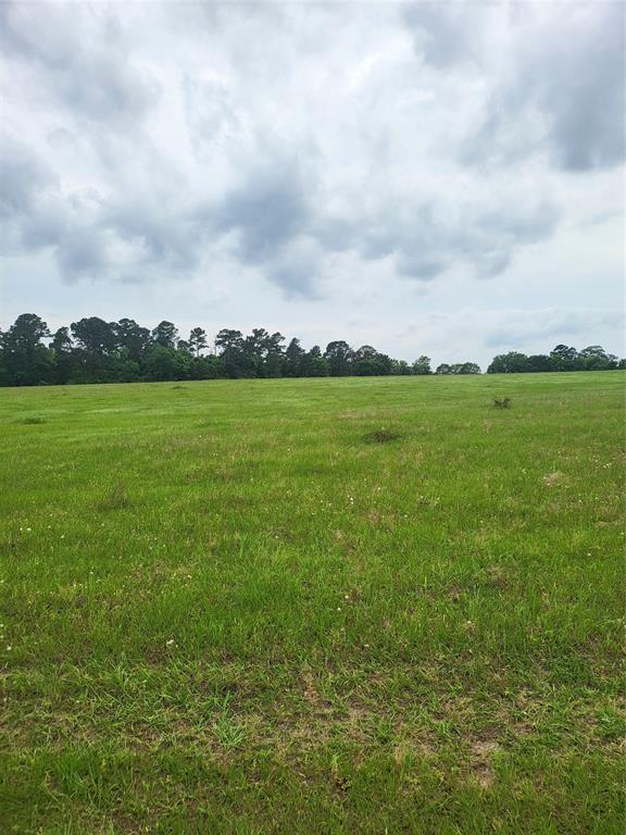 227W & TBD Hayesspring, Grapeland, Texas image 6
