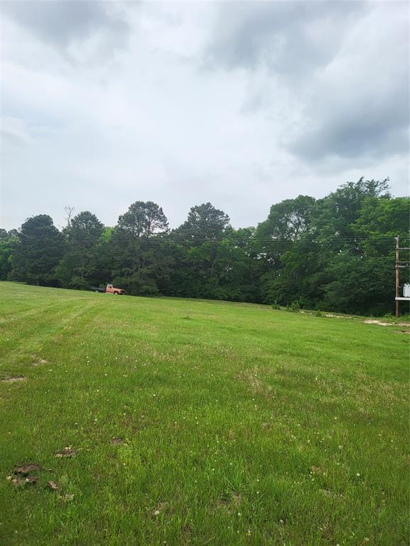 227W & TBD Hayesspring, Grapeland, Texas image 4