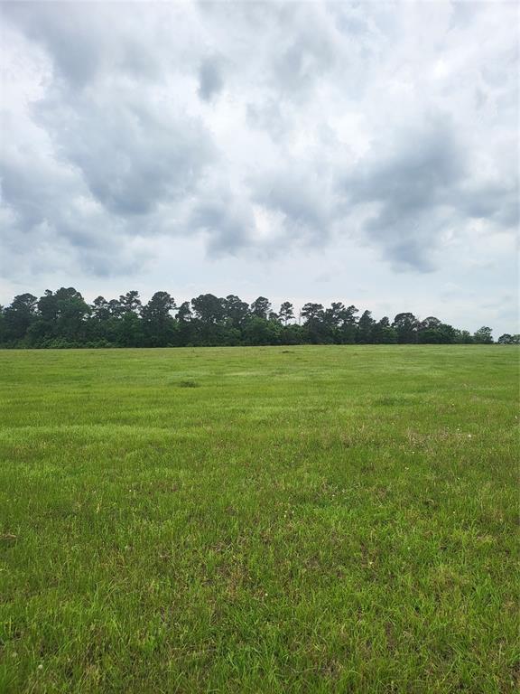 227W & TBD Hayesspring, Grapeland, Texas image 13
