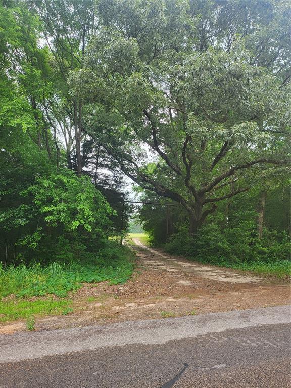 227W & TBD Hayesspring, Grapeland, Texas image 10