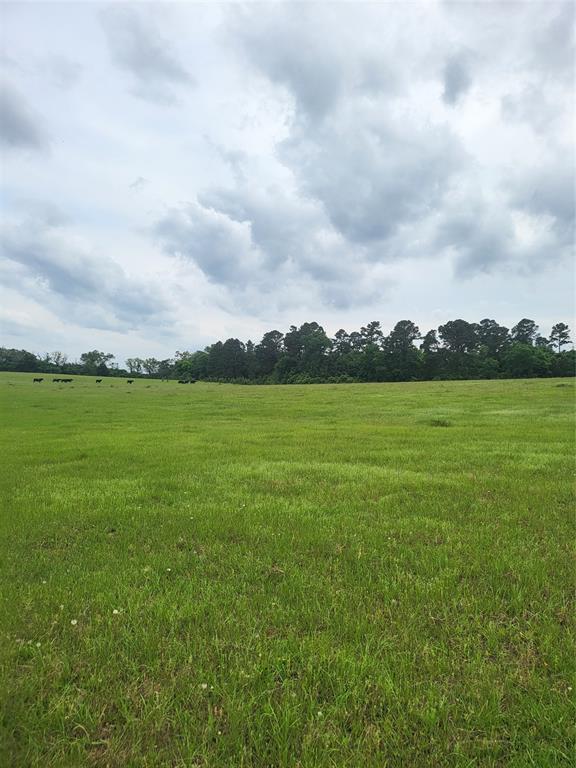227W & TBD Hayesspring, Grapeland, Texas image 1