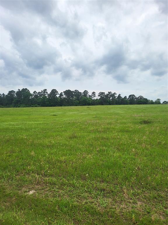 227W & TBD Hayesspring, Grapeland, Texas image 7