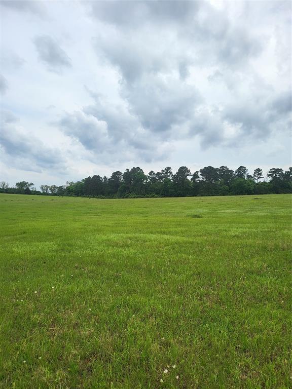 227W & TBD Hayesspring, Grapeland, Texas image 9