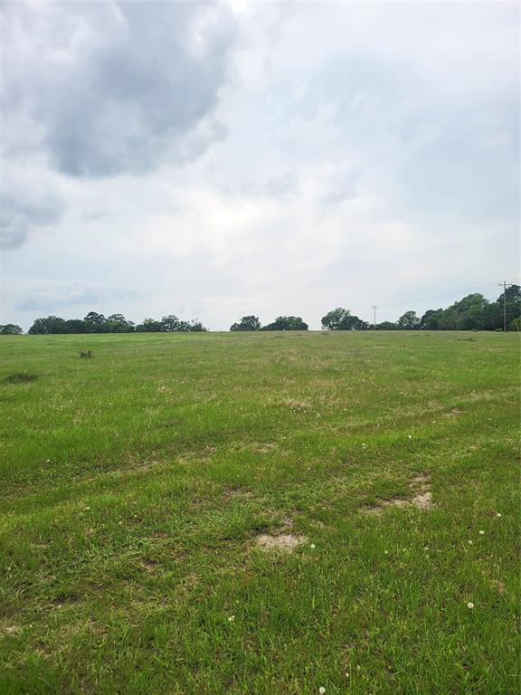 227W & TBD Hayesspring, Grapeland, Texas image 5