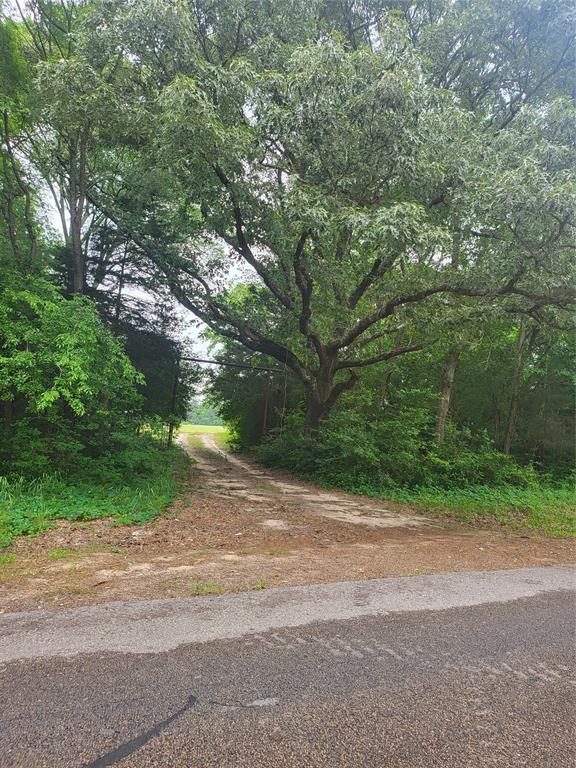 227W & TBD Hayesspring, Grapeland, Texas image 15