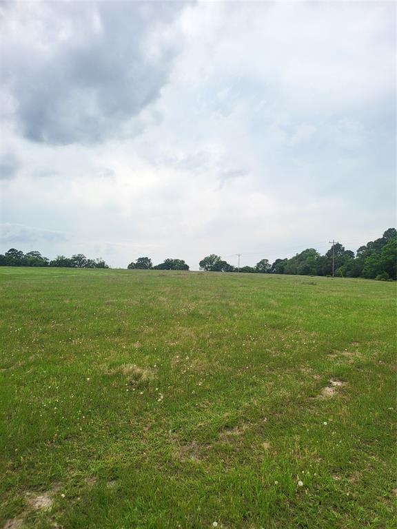 227W & TBD Hayesspring, Grapeland, Texas image 8