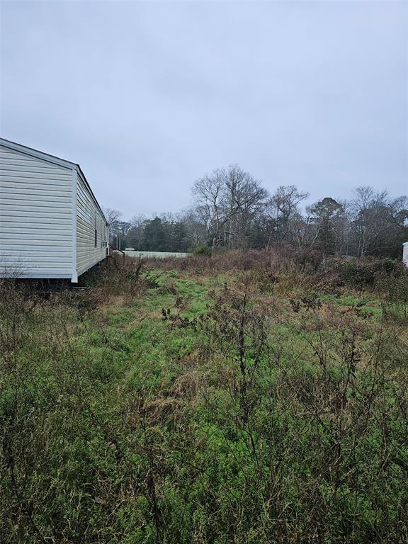 119 Althea Boulevard, Livingston, Texas image 3