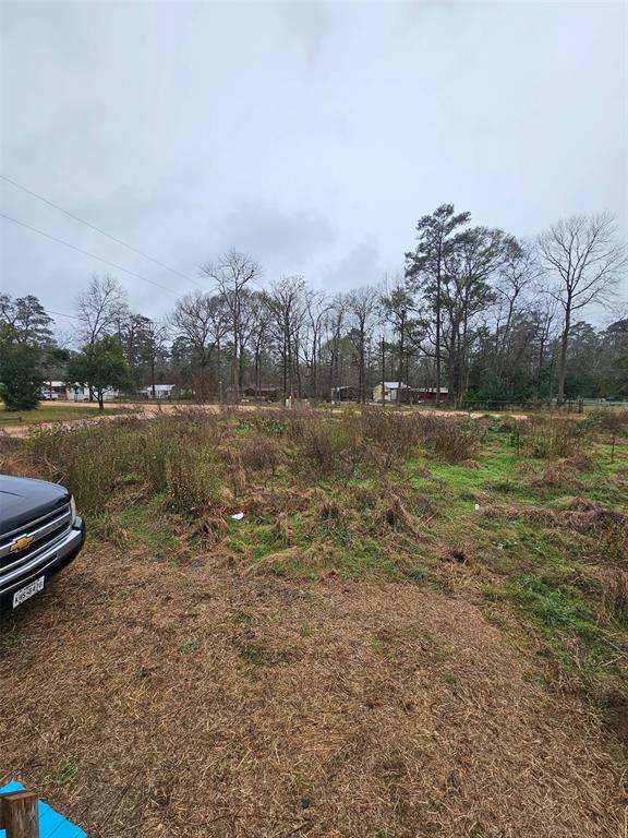 119 Althea Boulevard, Livingston, Texas image 4