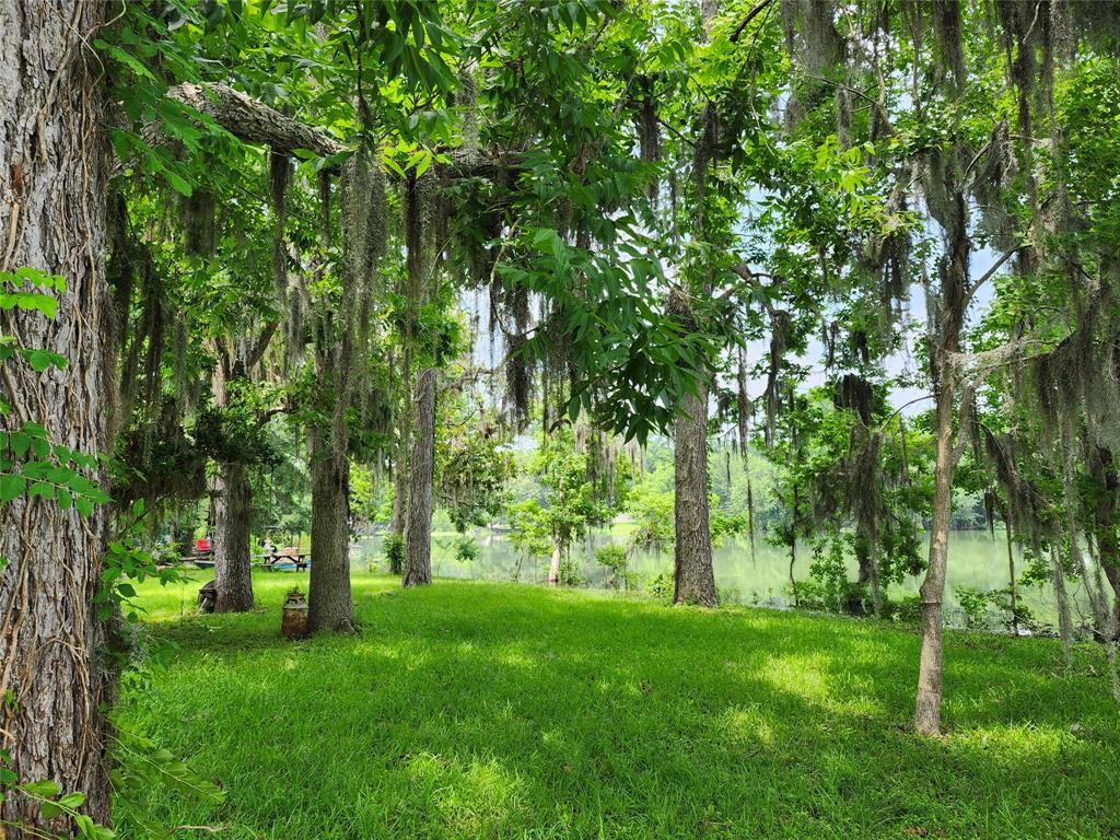 215 Weldon, Livingston, Texas image 23