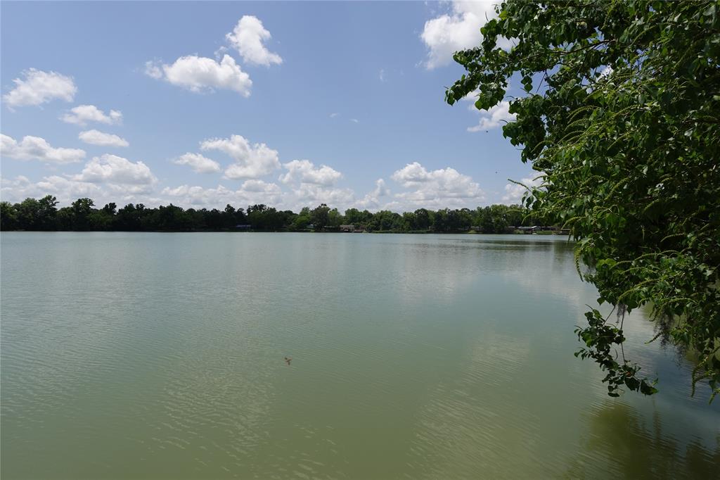 215 Weldon, Livingston, Texas image 17