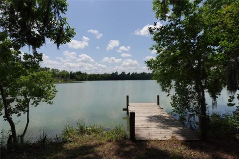 Photo of 215 Weldon, Livingston, TX 77351 (MLS # 91042289)