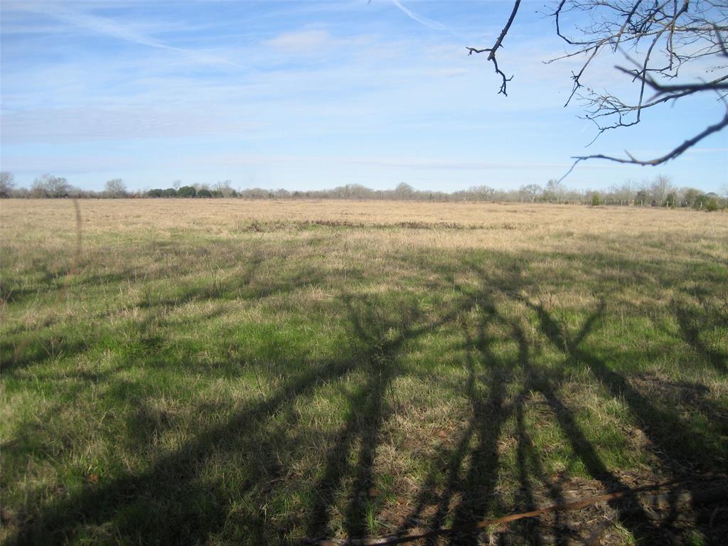 381 County Road 3057, Crockett, Texas image 2