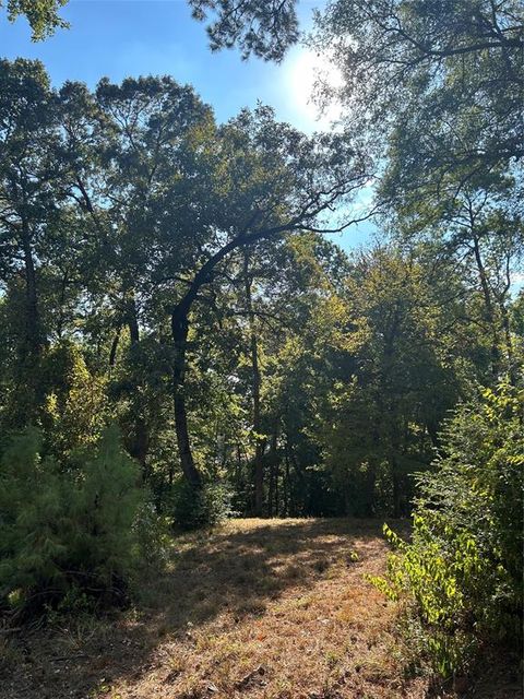 Vacant Land For Sale - TBD Tiki Trail<br/> Livingston, TX 77351