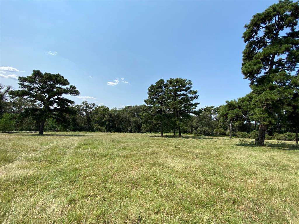 5222 County Road 306, Navasota, Texas image 9