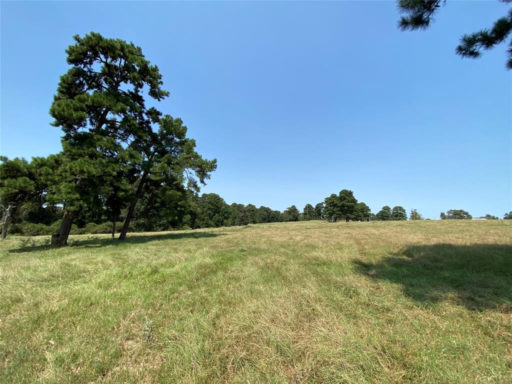 5222 County Road 306, Navasota, Texas image 17