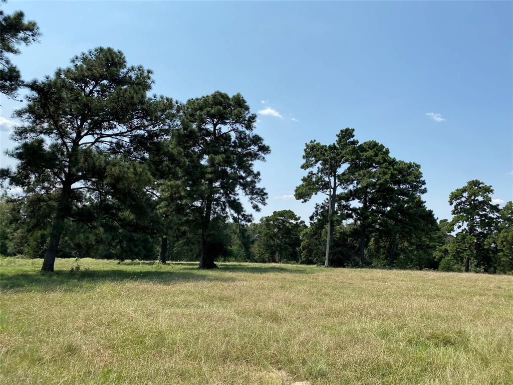 5222 County Road 306, Navasota, Texas image 3