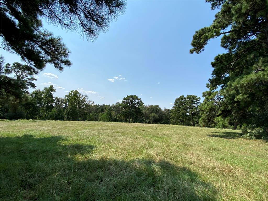 5222 County Road 306, Navasota, Texas image 11