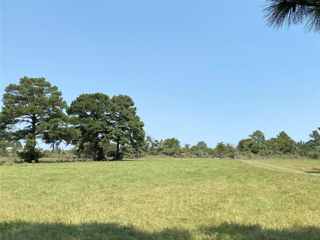 5222 County Road 306, Navasota, Texas image 4