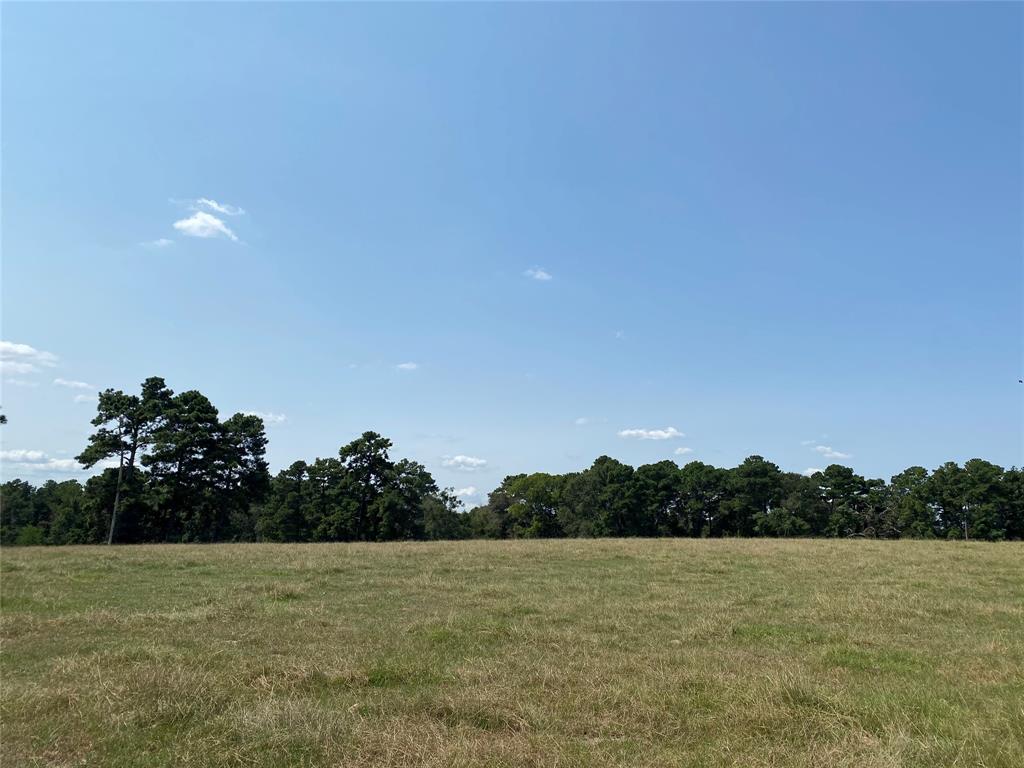 5222 County Road 306, Navasota, Texas image 10