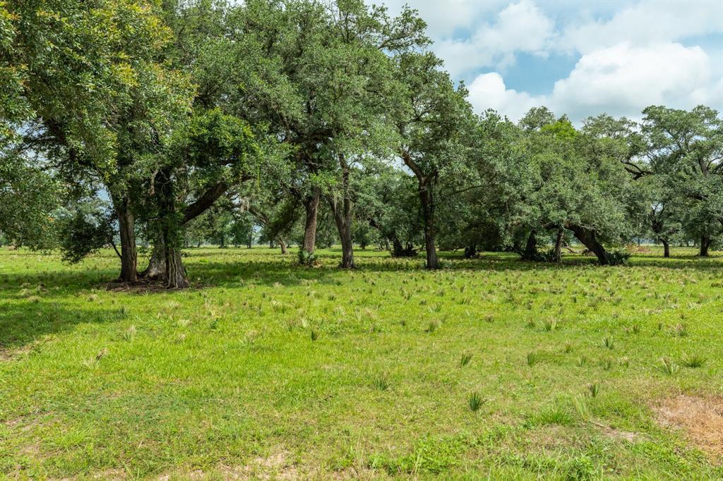 475 Valley Oaks Drive