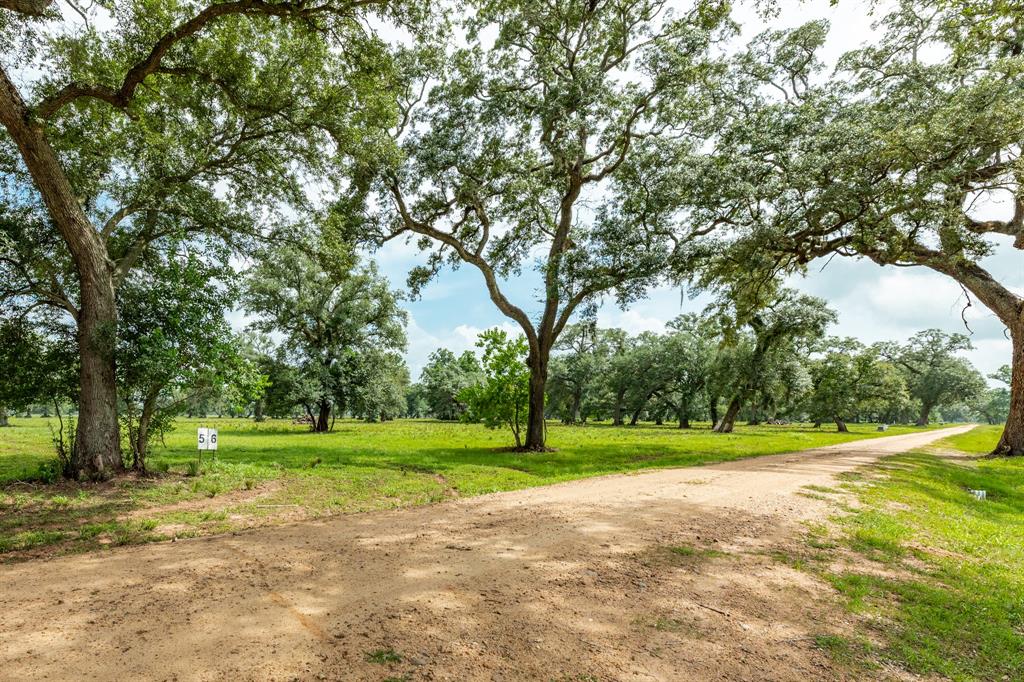 475 Valley Oaks Drive