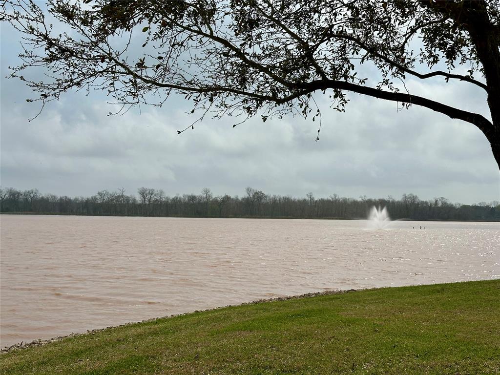 13023 Forester Canyon Lane, Sugar Land, Texas image 46