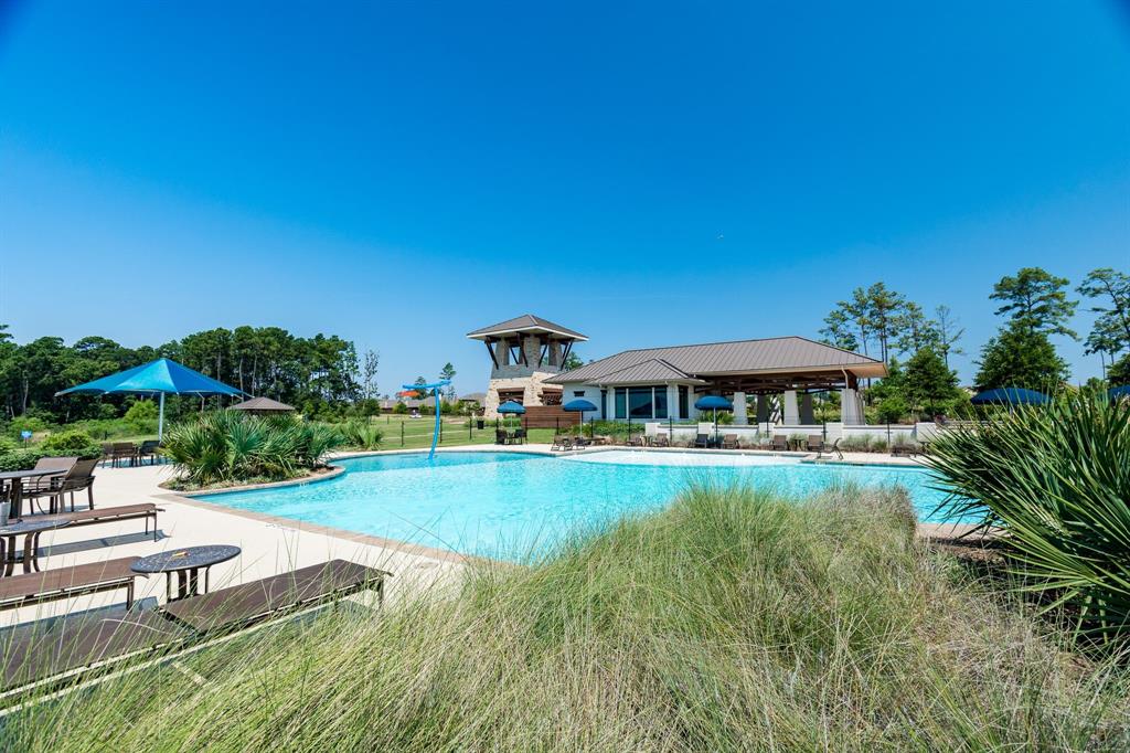 18202 Octavio Frias Trail, Houston, Texas image 49