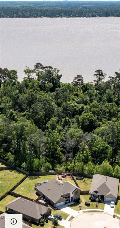 18202 Octavio Frias Trail, Houston, Texas image 8