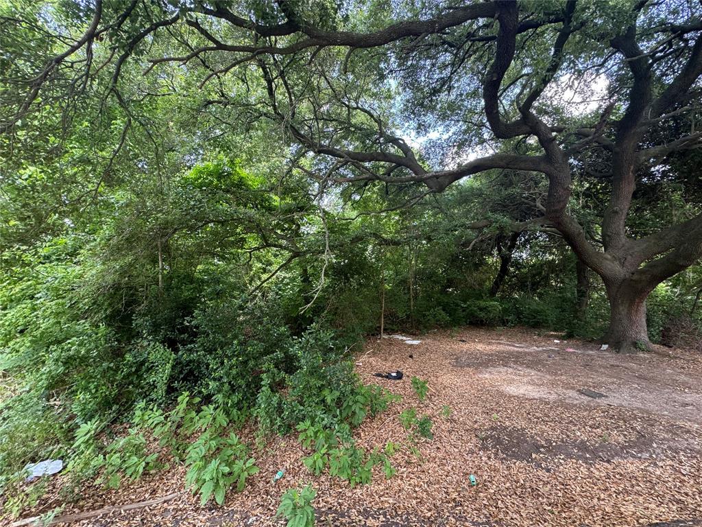 6636 Arabella Street, Houston, Texas image 2