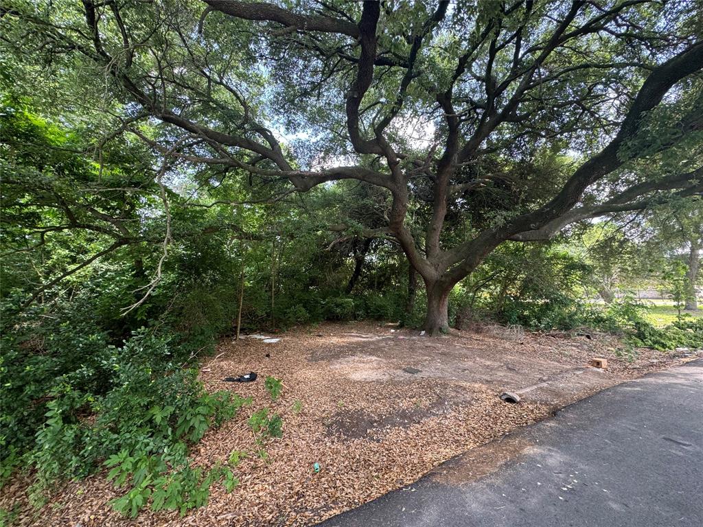 6636 Arabella Street, Houston, Texas image 3