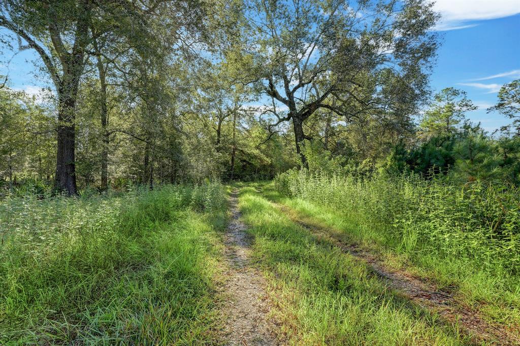 18760 Pin Oak Road, Conroe, Texas image 11