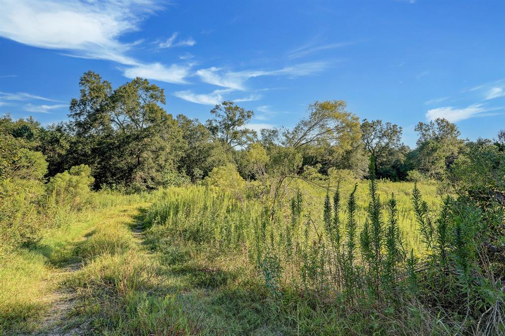 18760 Pin Oak Road, Conroe, Texas image 10