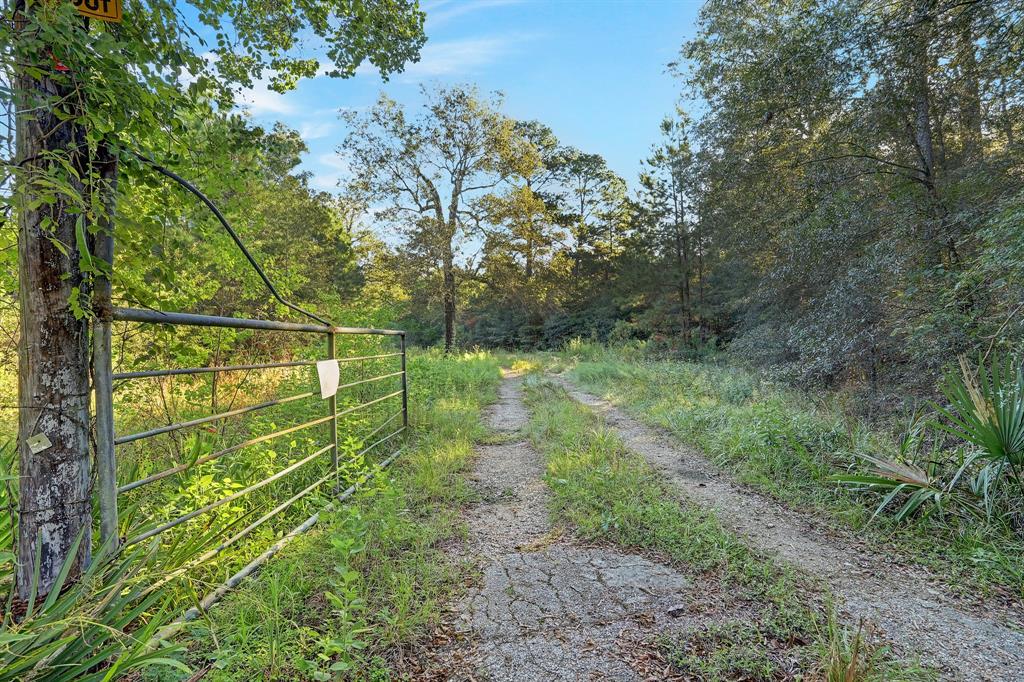 18760 Pin Oak Road, Conroe, Texas image 1