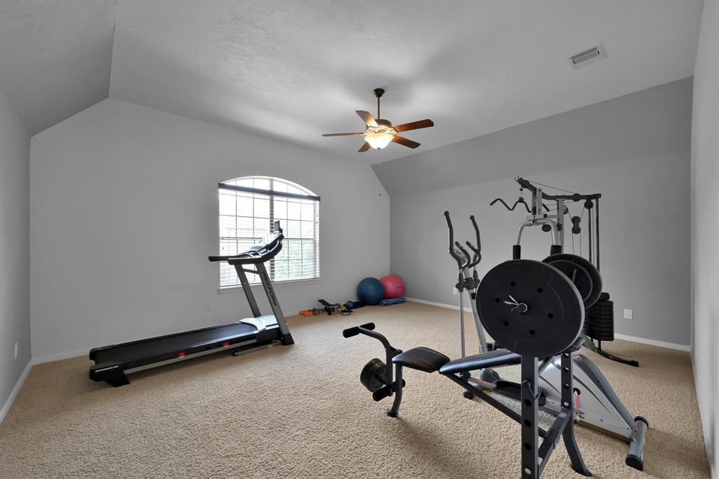 123 E Canyon Wren Circle, The Woodlands, Texas image 16