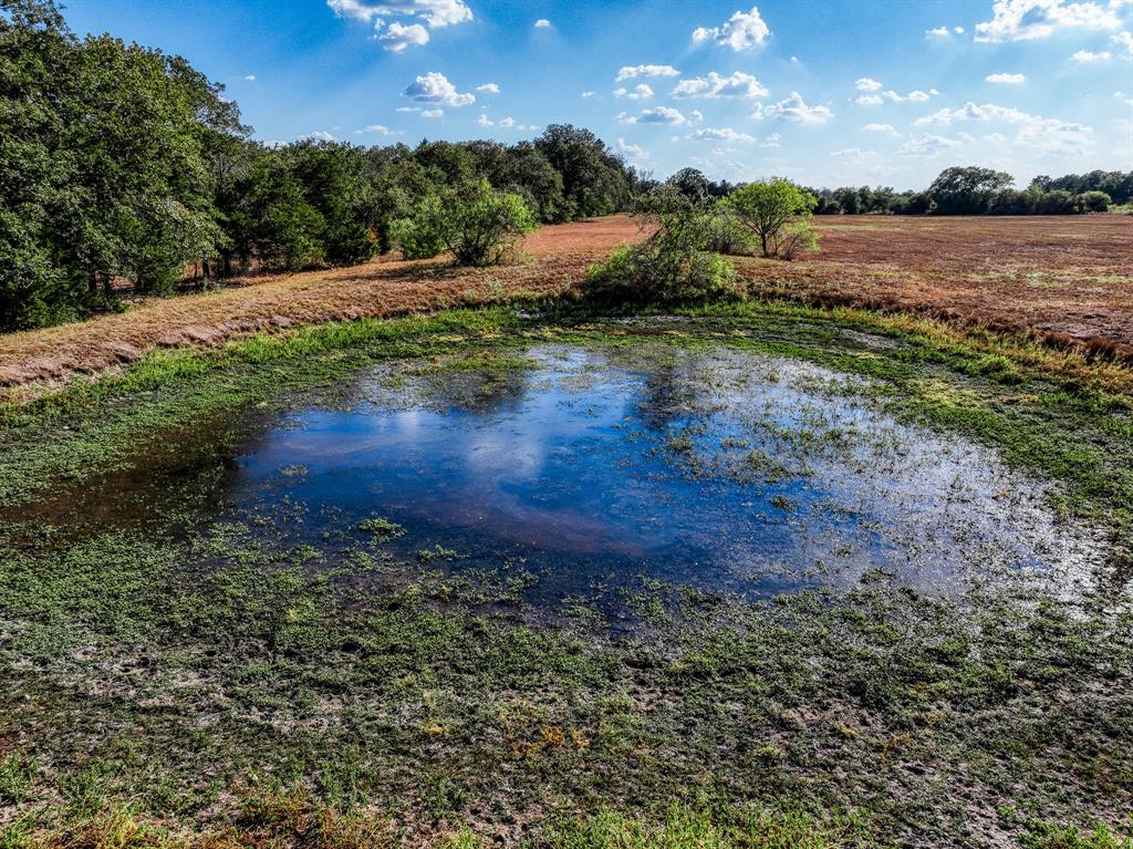 277 Feder Way, West Point, Texas image 10