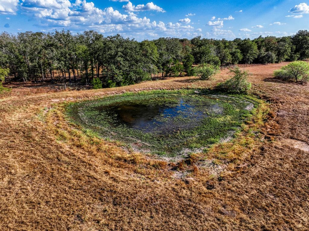 277 Feder Way, West Point, Texas image 9