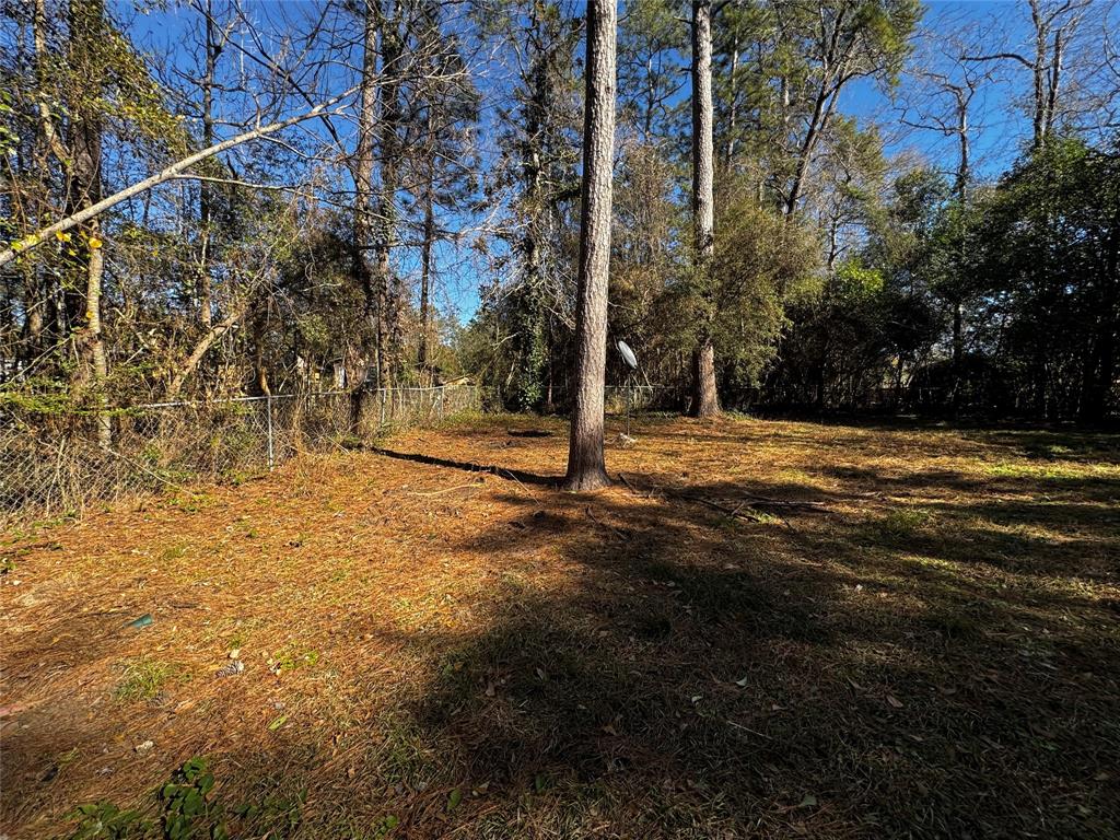 202 Cypress Bend Drive, Kountze, Texas image 25