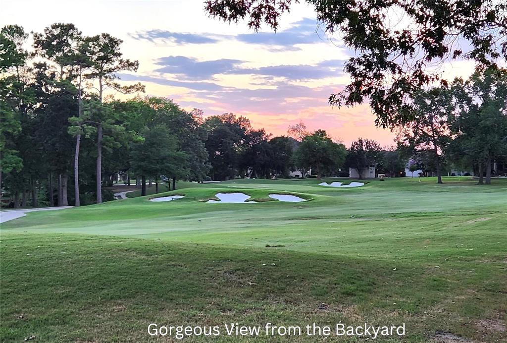 38 Fairway Park, Montgomery, Texas image 36