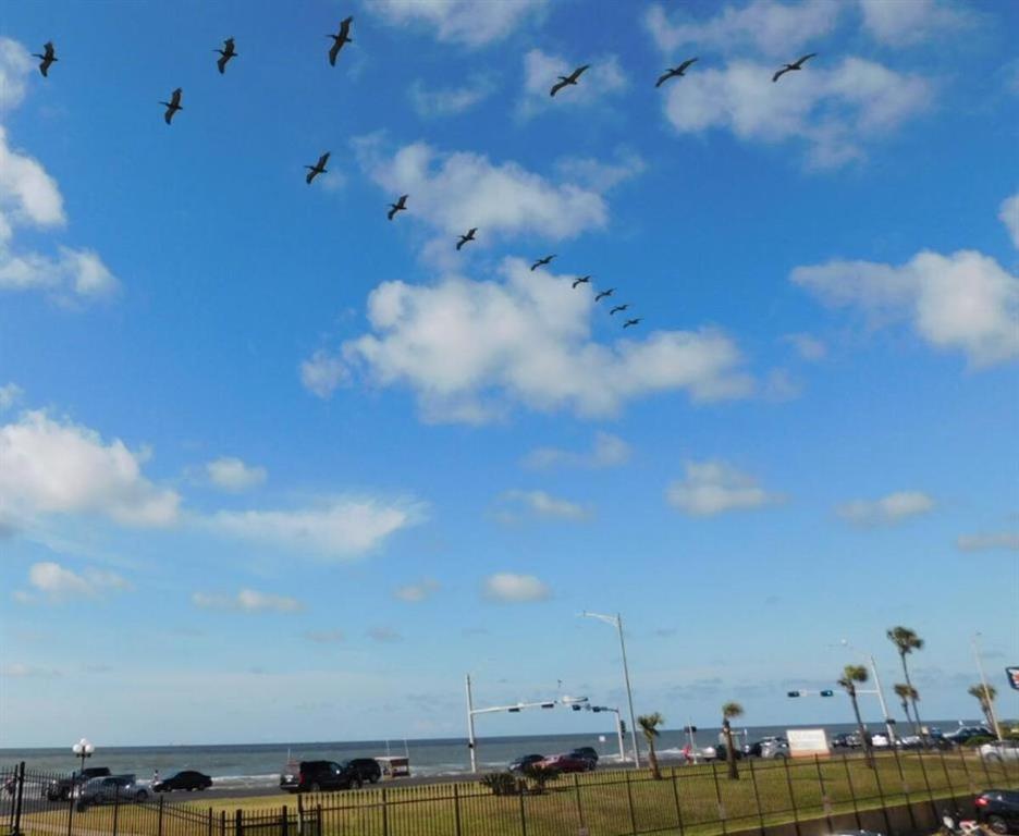 6300 Seawall Boulevard #9328, Galveston, Texas image 17