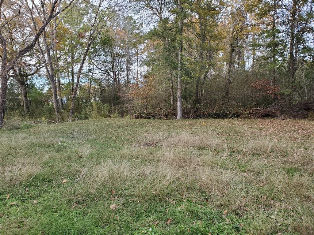 TBD Paradise Drive, Coldspring, Texas image 4