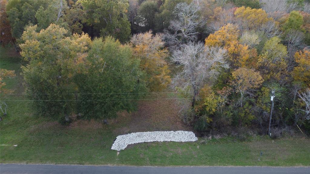 TBD Paradise Drive, Coldspring, Texas image 7
