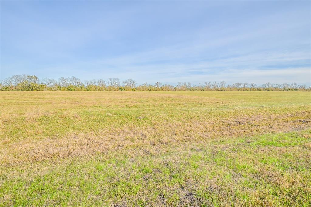 1 Brahman Trail, Angleton, Texas image 4