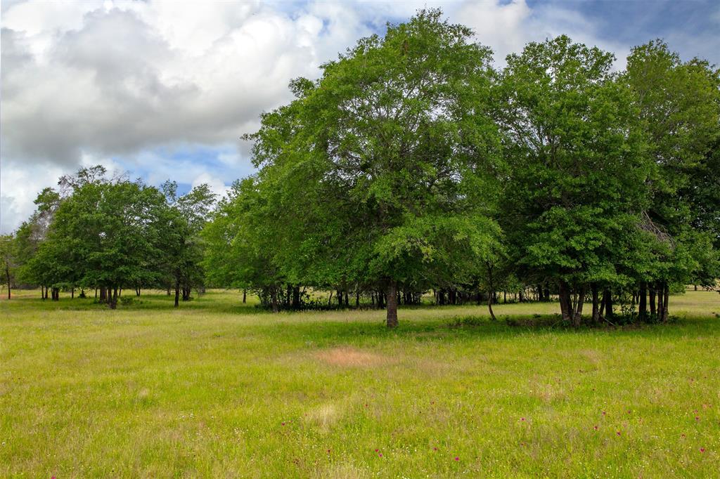 265 Green Acres Lane, Milano, Texas image 7