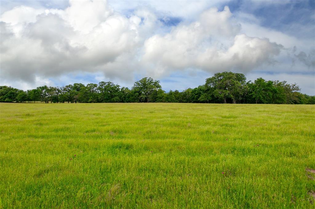 265 Green Acres Lane, Milano, Texas image 5